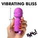 BANG! 10X MINI SILICONE WAND PURPLE - SexToy.com