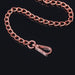 Coquette Pleasure Collection Chain Leash - SexToy.com