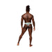 Male Power Sheer Prints Sheer Thong Flamingo S/m - SexToy.com