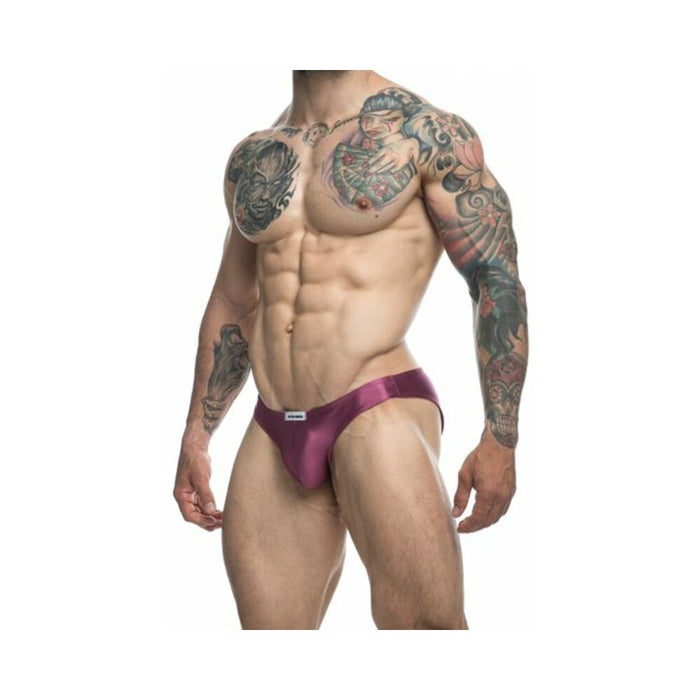 Malebasics Justin + Simon Classic Bikini Wine 2xl - SexToy.com