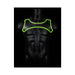 Ouch! Glow Neoprene Harness - Glow In The Dark - Green - L/xl - SexToy.com