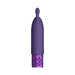 Royal Gems - Twinkle - Silicone Rechargeable Bullet - Purple - SexToy.com