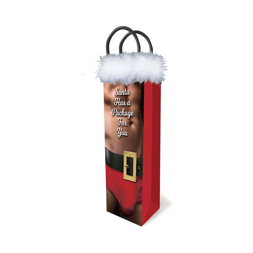 Santa Has A Big Package For You Gift Bag - SexToy.com