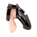 Acrylic See-Thru Chastity Cage Black - SexToy.com