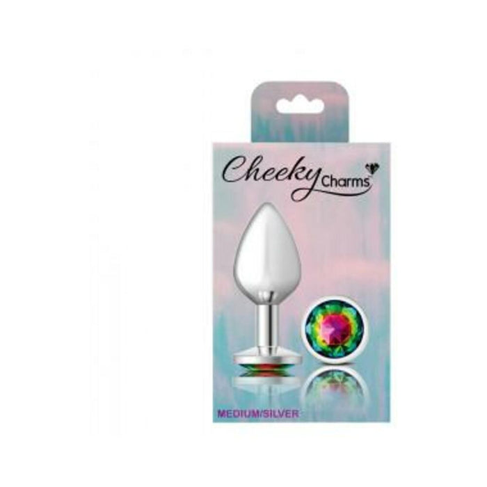 Cheeky Charms Round Rainbow Medium Silver Plug - SexToy.com