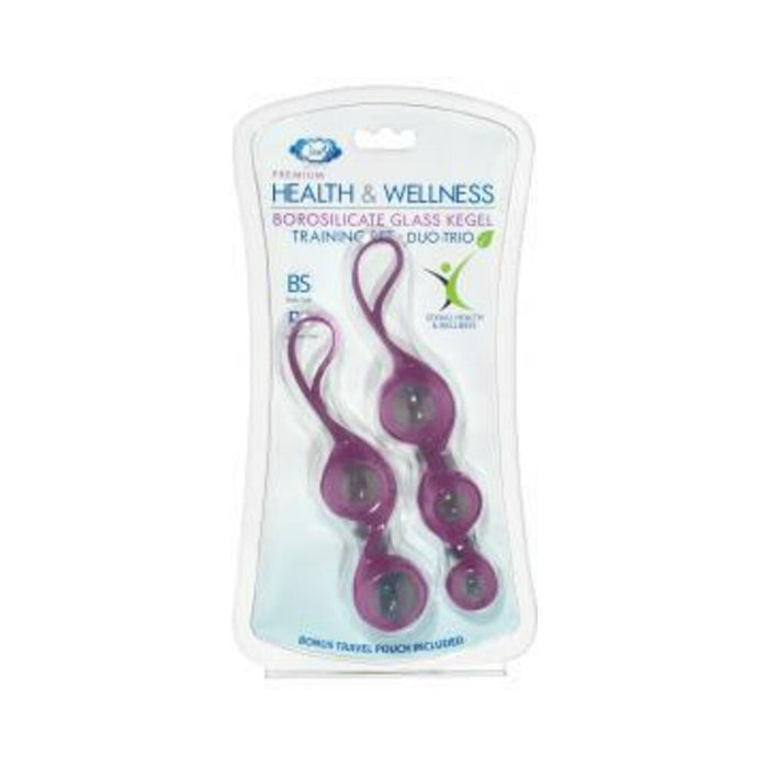 https://www.sextoy.com/cdn/shop/products/cloud-9-health-wellness-borosilicate-kegel-training-set-plum-522123_700x700.jpg?v=1698141762