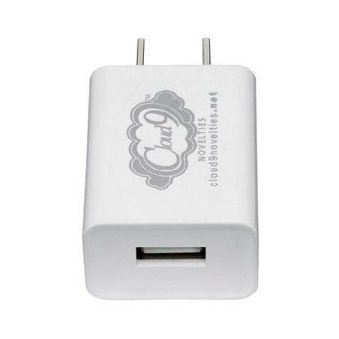 Cloud 9 USB 1 Port Adapter Charger For Vibrators - SexToy.com