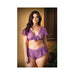 Curve Kate Lace Tie Front Crop Top With Matching Tap Panty 1x/2x Amethyst | SexToy.com