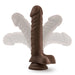 Dr. Skin Plus Posable Dildo With Balls 9 In. Chocolate - SexToy.com