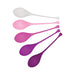 Evolved Tight & Delight Kegel Set Of 5 Silicone - SexToy.com