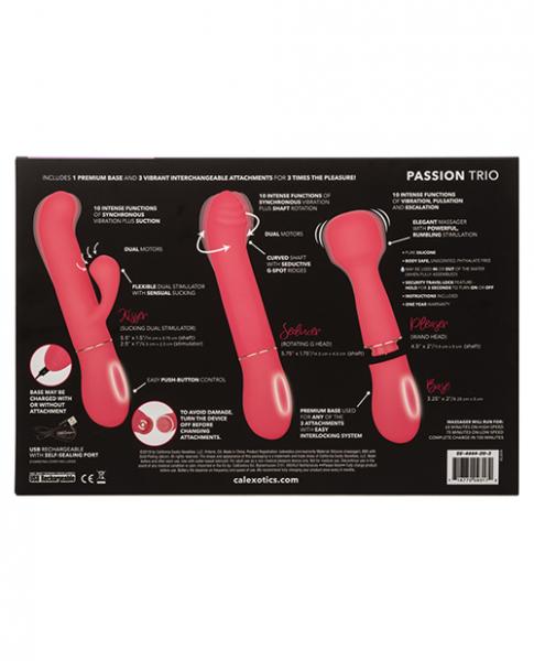 In Touch Passion Trio Pink Vibrator Kit | SexToy.com