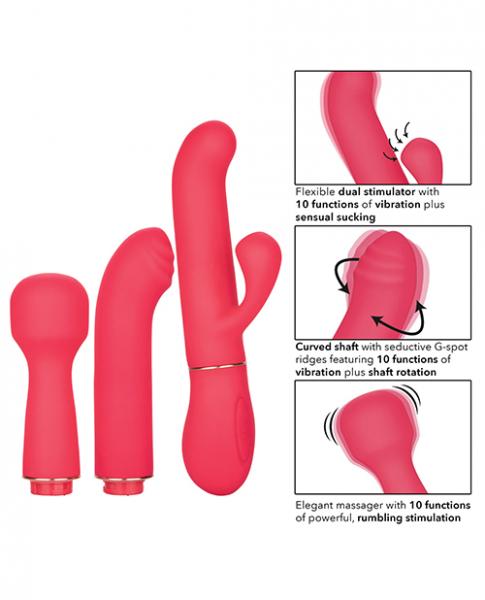 In Touch Passion Trio Pink Vibrator Kit | SexToy.com