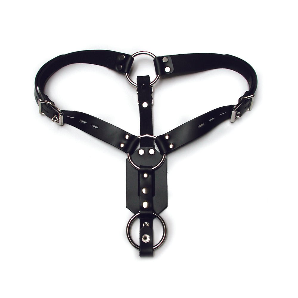 Kinklab Anal Plug Harness With Cock Ring — SexToy.com