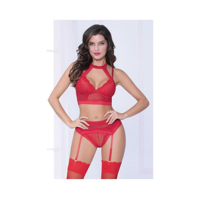 Lace & Netting Long Line Bra, Garter Belt & Open Crotch Thong Red Sm - SexToy.com