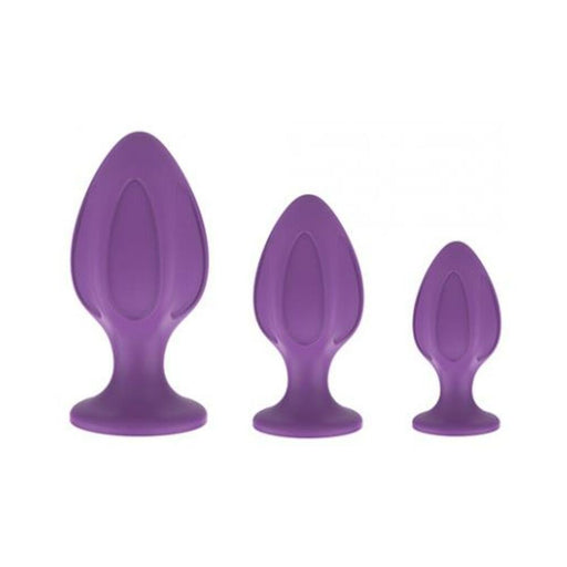 Nobu Rainbow Silicone Plug Set - Purple - SexToy.com