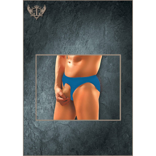 Nylon Spandex Pouchless Brief Royal One Size - SexToy.com