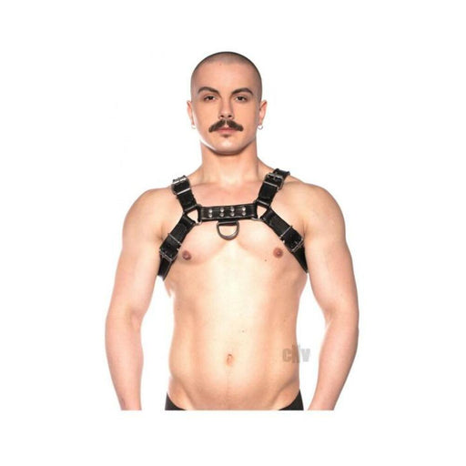 Prowler Red Bull Harness Black Xlarge - SexToy.com