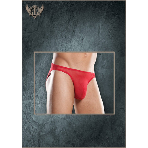 Stretch Mesh Wonder Bikini Red 3X - SexToy.com